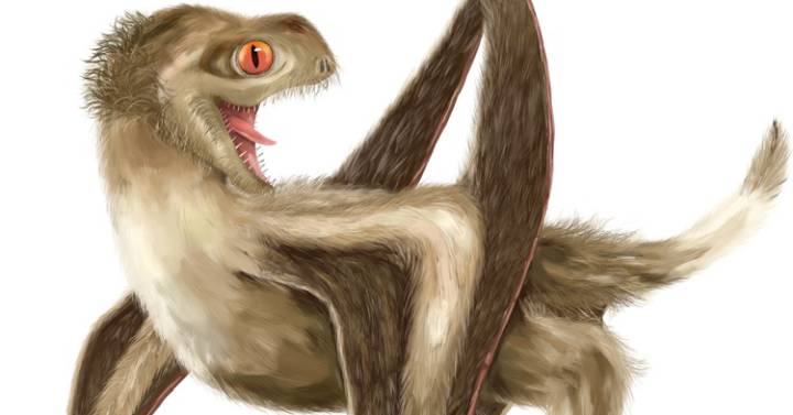 [:es]Un controvertido estudio asegura que los pterosaurios tenían plumas[:]
