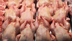 [:es]The most potent symbol of our time? The chicken[:]
