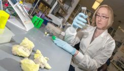 [:es] Not in the DNA: Epigenetics discovered in single-celled archaea [:]