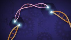 [:es]What’s New, and What’s Not, in the Reported Birth of the CRISPR Babies[:]