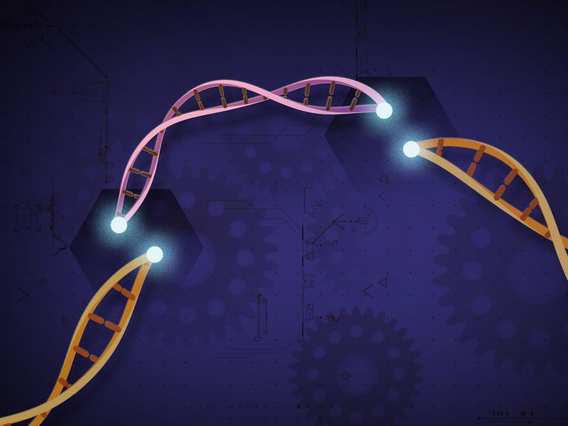 [:es]What’s New, and What’s Not, in the Reported Birth of the CRISPR Babies[:]