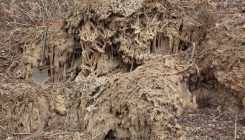 [:es]El barranco del Calabozo, un fenómeno geológico a escala humana[:]
