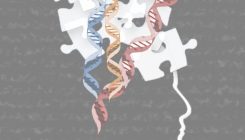 [:es]La cantidad y diversidad de variantes de proteína amiloide precursora aumenta en neuronas de personas con enfermedad de Alzhéimer[:]