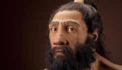 [:es]Why Did Humans Lose Their Fur?[:]
