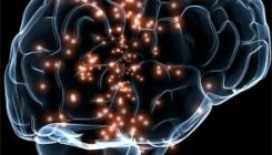 [:es]La diabetes de tipo I modifica la conectividad cerebral[:]