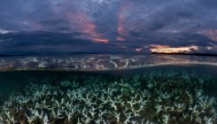 [:es]Ocean Warming Is Accelerating Faster Than Thought[:]