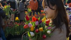 [:es]¿De dónde salen los colores de las flores?[:]