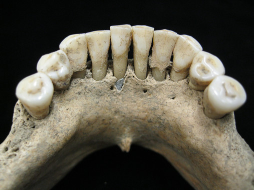 [:es]Los dientes azules de la primera artista de ilustraciones medievales[:]