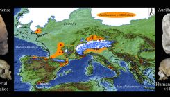 [:es]Los humanos modernos reemplazaron a los neandertales en el sur de España hace 44.000 años[:]