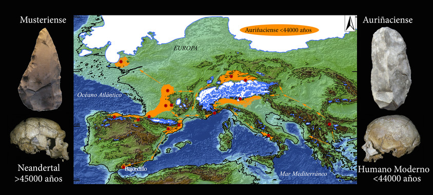 [:es]Los humanos modernos reemplazaron a los neandertales en el sur de España hace 44.000 años[:]