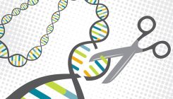 [:es]CRISPR metodoaren beste aldaera bat garatu dute[:]