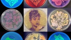 [:es] El pinta y colorea de la ciencia: así es el arte con bacterias[:]