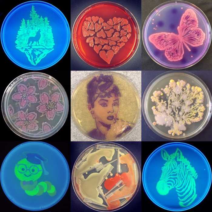 [:es] El pinta y colorea de la ciencia: así es el arte con bacterias[:]