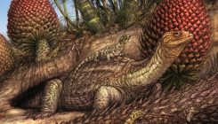 [:es]The Patient Had Bone Cancer. The Diagnosis Arrived 240 Million Years Too Late.[:]