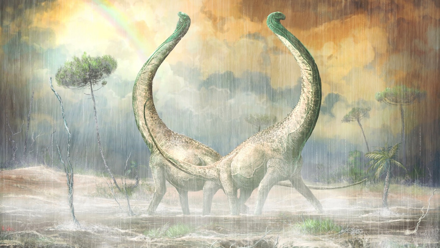 [:es]New titanosaur fossil sheds light on dino evolution[:]
