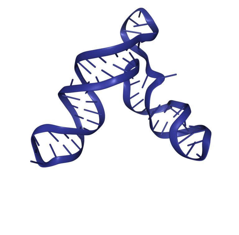 [:es]Un catálogo de ARNs circulares en cáncer para desarrollar nuevos biomarcadores de la enfermedad[:]