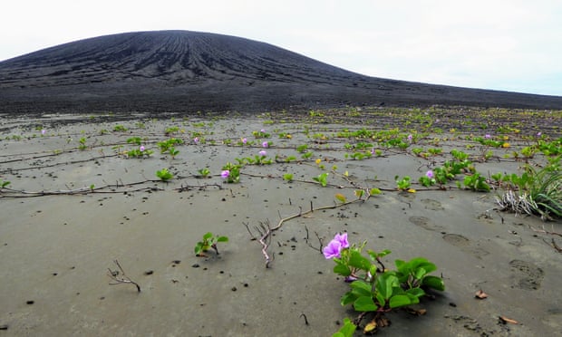 [:es] Mystery mud on new volcanic island baffles Nasa scientists[:]