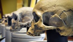 [:es]Artificial Intelligence Finds Ancient ‘Ghosts’ in Modern DNA[:]