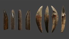[:es]Ancient humans hunted monkeys for tens of thousands of years[:]