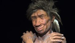 [:es]Trail of feathers to the Neanderthal mind[:]