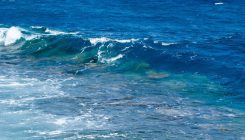 [:es]Las olas de calor marinas amenazan la biodiversidad de los océanos[:]