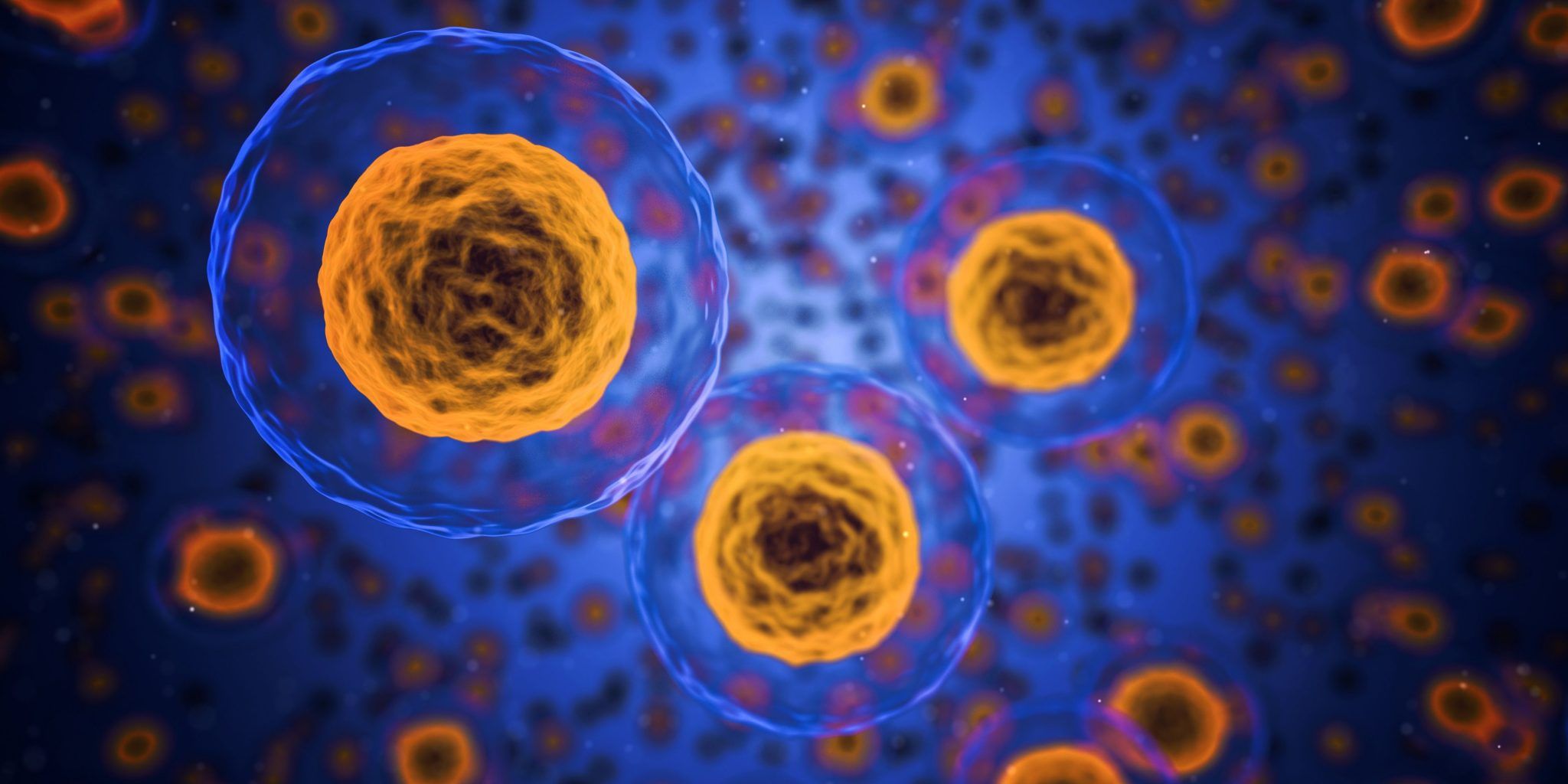 [:es]Desarrolladas las primeras células madre pluripotentes no detectables por el sistema inmunitario[:]