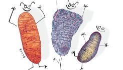 [:es]How secret conversations inside cells are transforming biology[:]