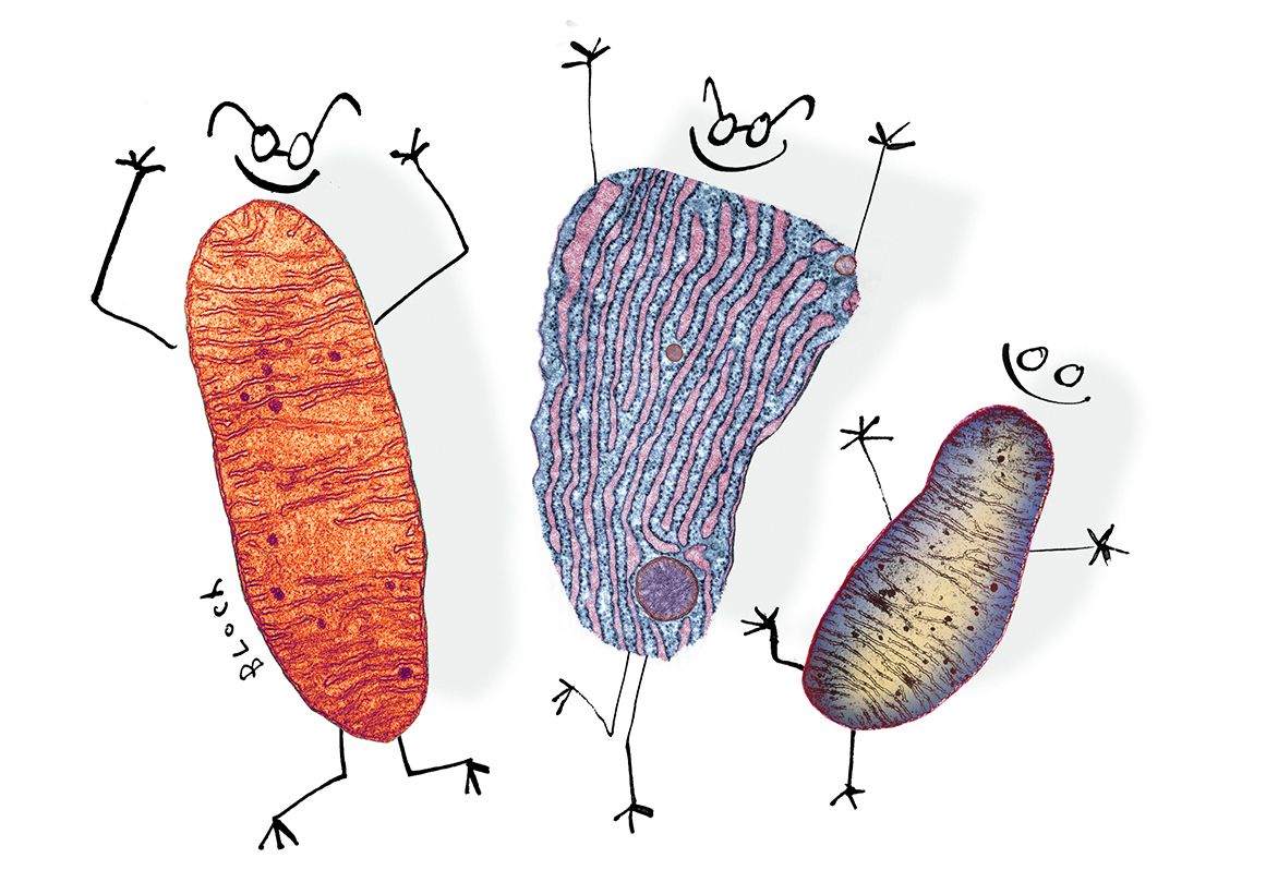 [:es]How secret conversations inside cells are transforming biology[:]