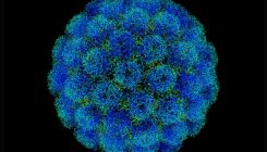 [:es]El despertar de los virus durmientes en el espacio exterior[:]