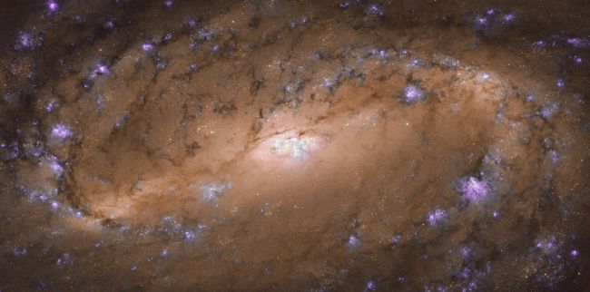 [:es]This Awesome Spiral Galaxy View from Hubble May Help Demystify Black Holes[:]