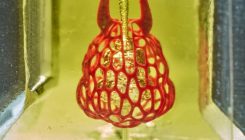 [:es]3D inprimagailuez organo funtzionalak sortzeko baskularizazioa lortu dute[:]