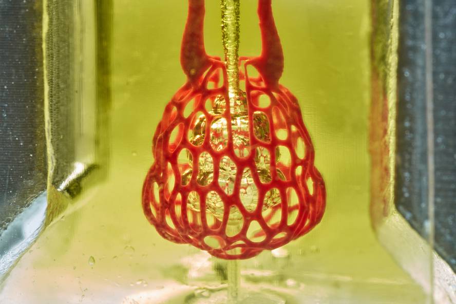 [:es]3D inprimagailuez organo funtzionalak sortzeko baskularizazioa lortu dute[:]