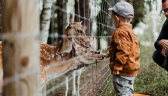 [:es]Zoológicos, reservas y otros demonios[:]