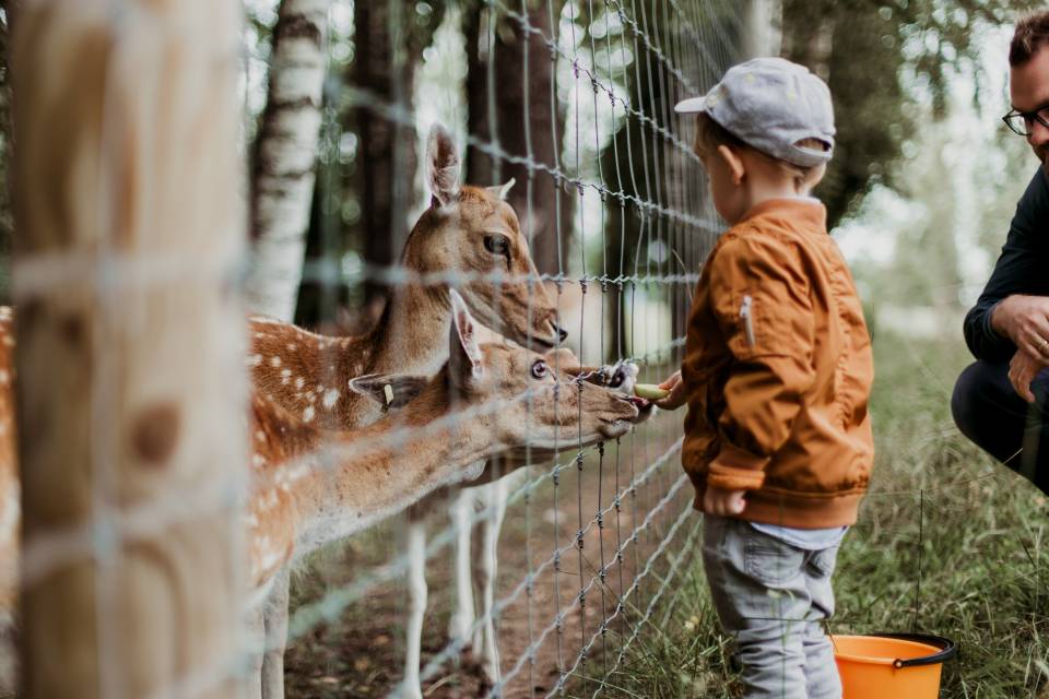 [:es]Zoológicos, reservas y otros demonios[:]