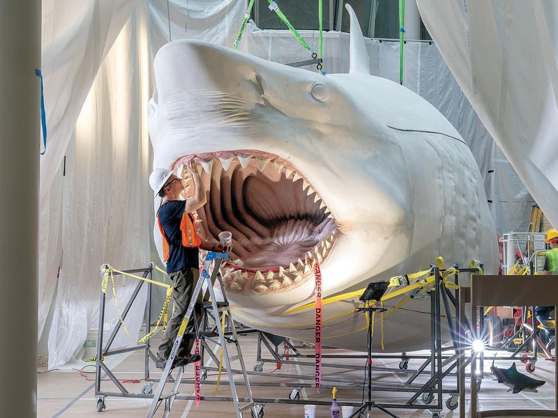 [:es]Reimagining the Megalodon, the World’s Most Terrifying Sea Creature[:]