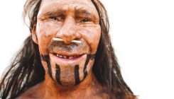 [:es] Las caries de los neandertales y otros misterios bacterianos[:]