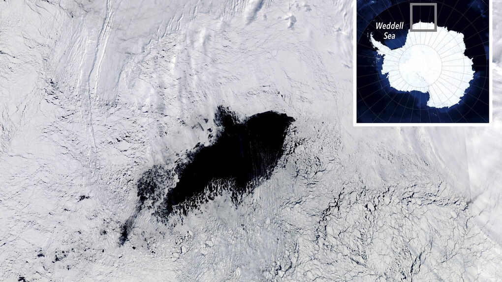 [:es] Resuelven el misterio de los agujeros en el hielo antártico [:]