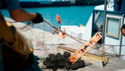 [:es] El basurero mediterráneo: cemento, madera y un flash de limón de 1989 [:]