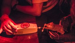 [:es]Small, furry and powerful: are mouse lemurs the next big thing in genetics?[:]