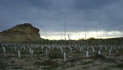 [:es] El coste ambiental de cultivar hortalizas en el desierto[:]