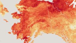 [:es]Record-Breaking Heat in Alaska Wreaks Havoc on Communities and Ecosystems [:]