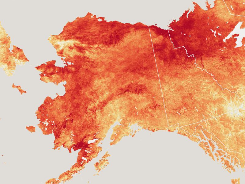 [:es]Record-Breaking Heat in Alaska Wreaks Havoc on Communities and Ecosystems [:]