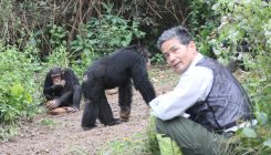 [:es]“Humanos y chimpancés somos casi la misma criatura”[:]