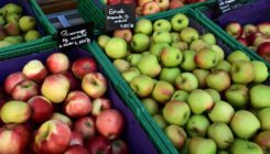 [:es] An apple, and a few bacteria, a day[:]