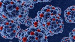 [:es]Una terapia con antirretrovirales y CRISPR elimina el VIH en ratones[:]