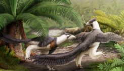 [:es]Discovery of Raptor-Like Dinosaur Adds a New Wrinkle to the Origin of Birds[:]