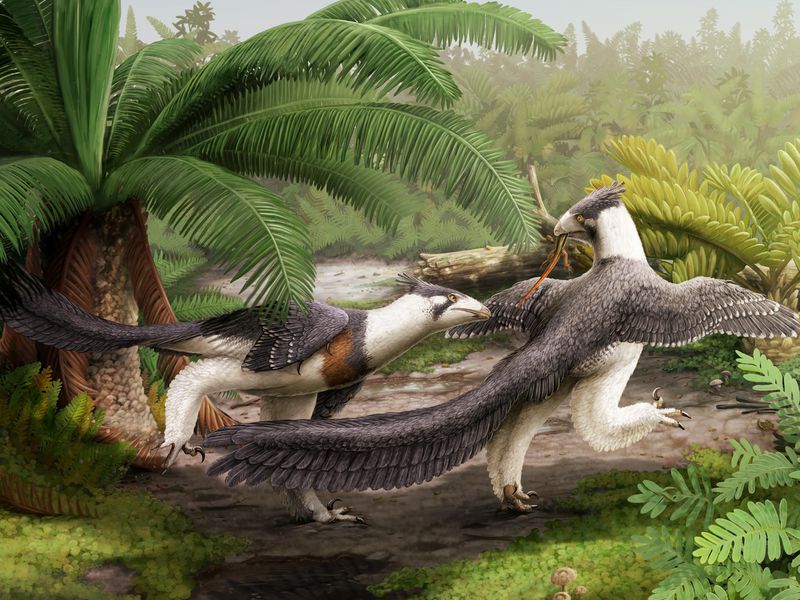 [:es]Discovery of Raptor-Like Dinosaur Adds a New Wrinkle to the Origin of Birds[:]