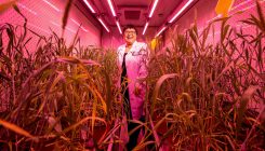 [:es]To feed its 1.4 billion, China bets big on genome editing of crops[:]