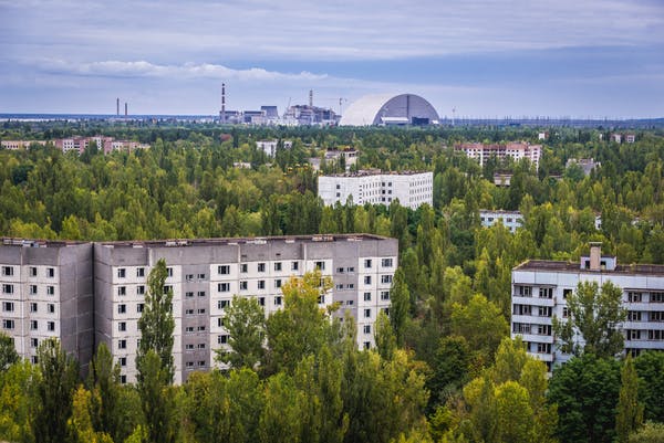 [:es] Chernóbil: ¿Por qué las plantas no mueren de cáncer?[:]
