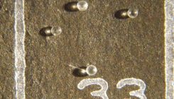 [:es]Hints of previously unknown asteroid impact found in Florida clam fossils[:]